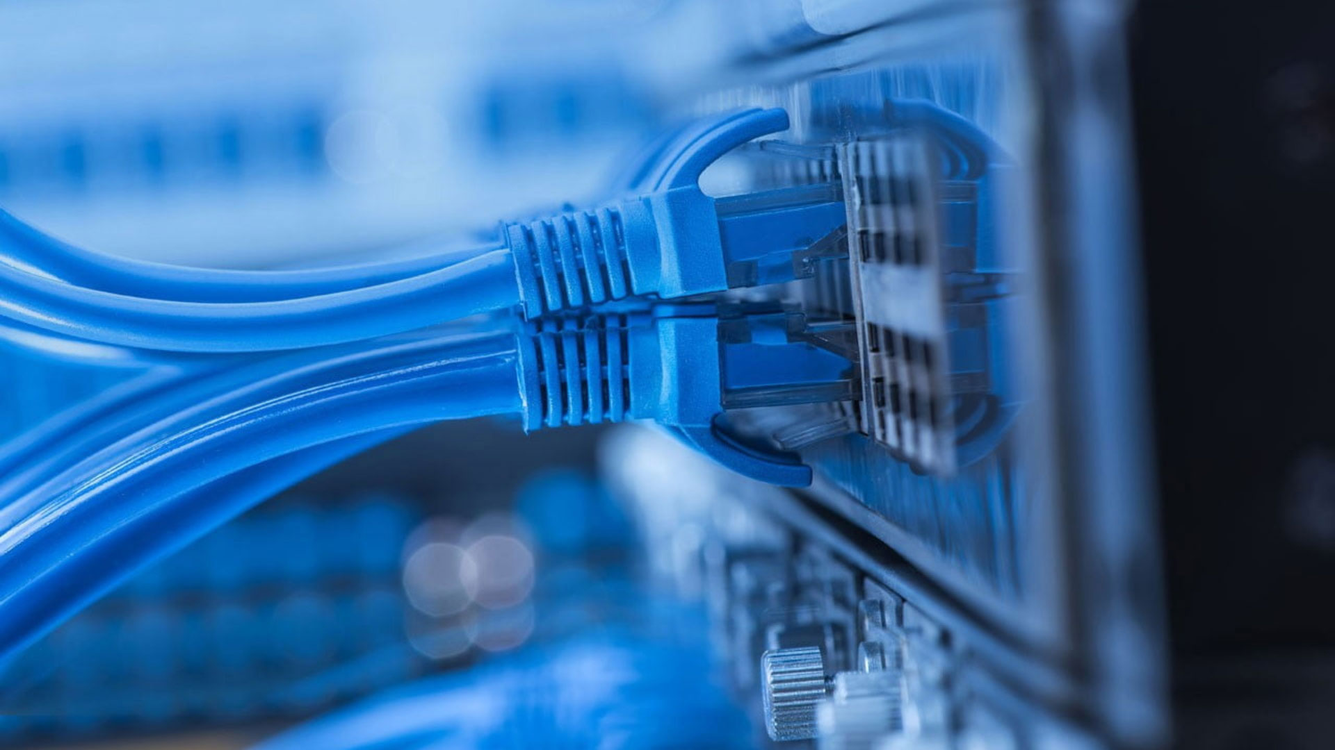 Wired Network Services